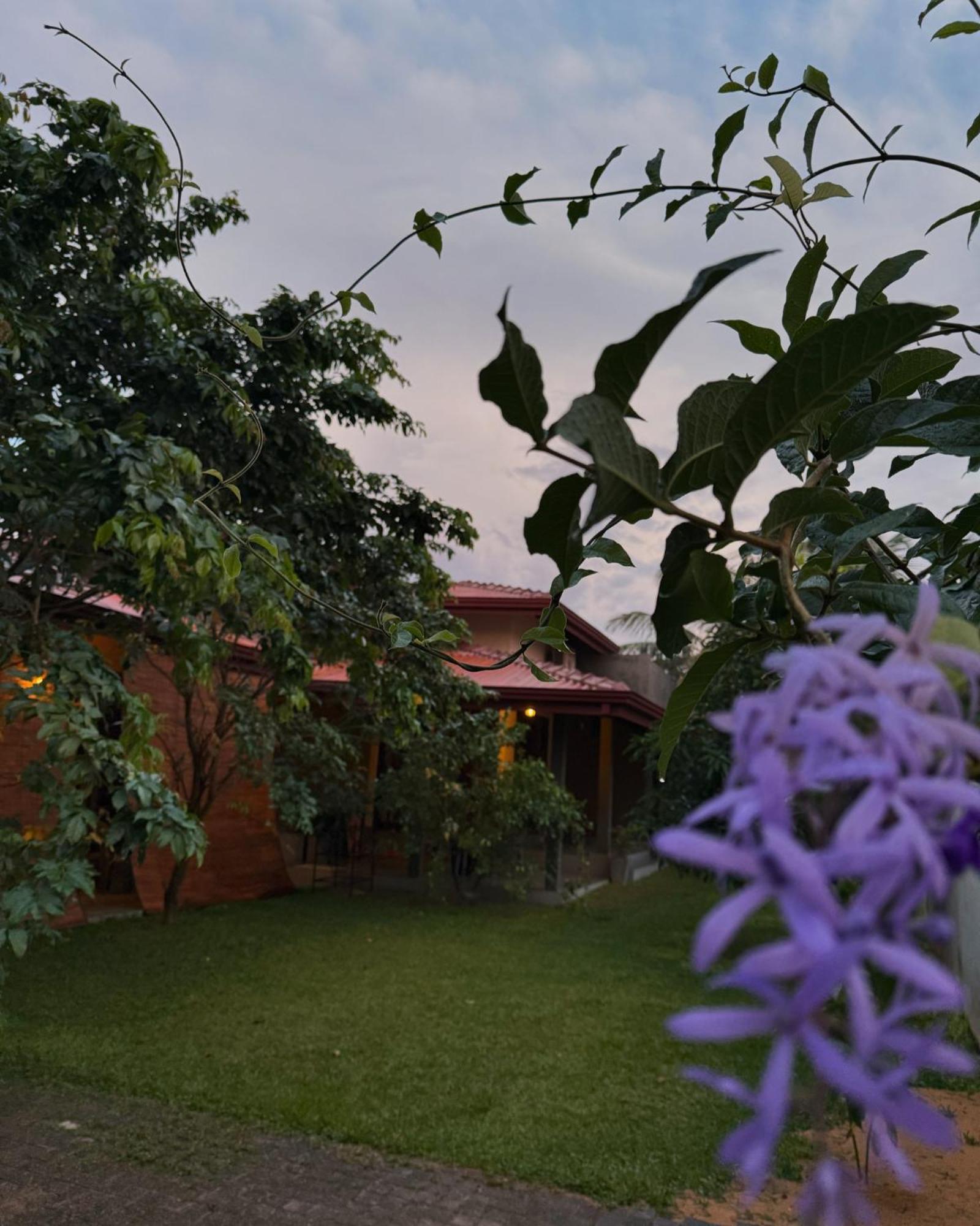 Negombo 146 Homestay Exteriér fotografie